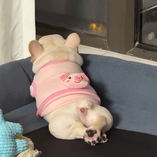 PUP
