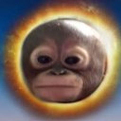BUDI