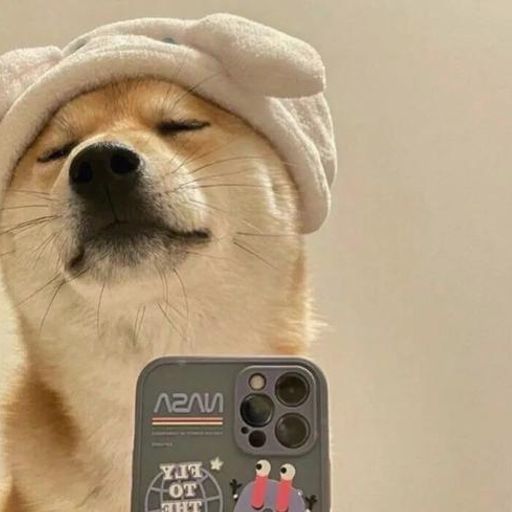 Doges
