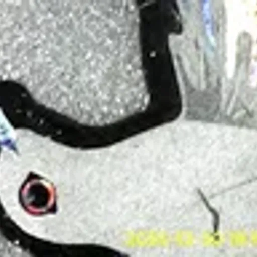 mastercard_hologram