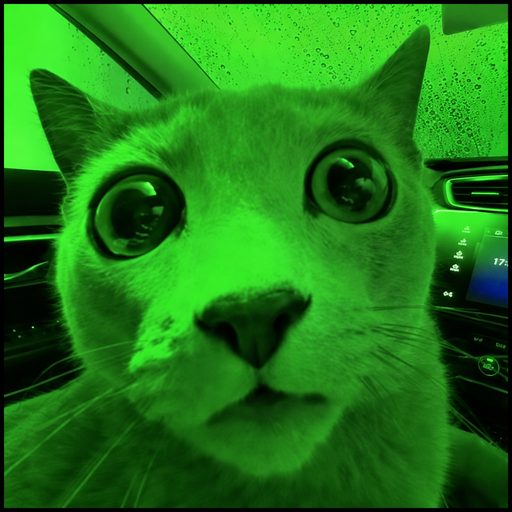 SHOCKCAT