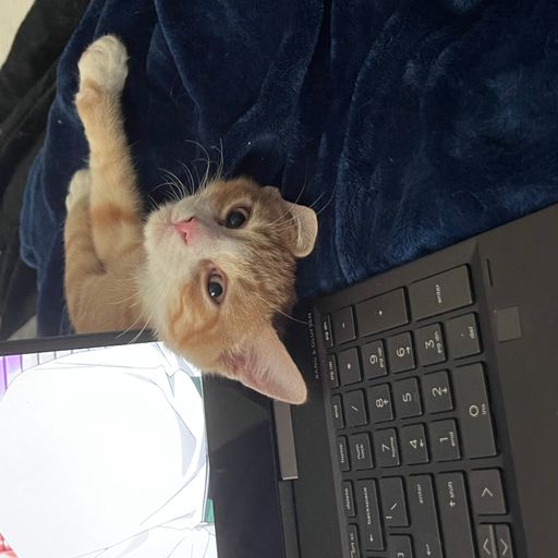 MILO