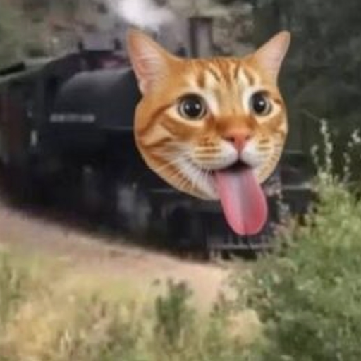 TrainCat