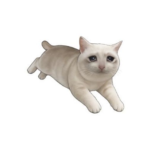 CASHCAT