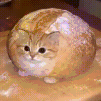 breadcat