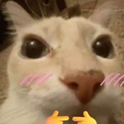 Dosecat