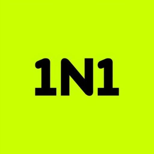 1N1
