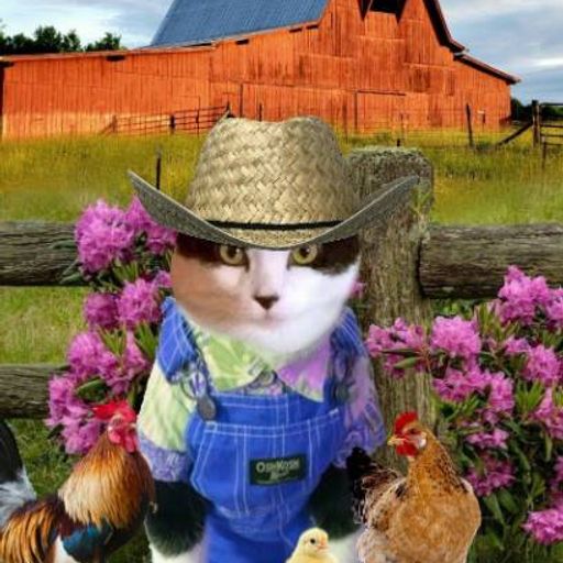 farmcat