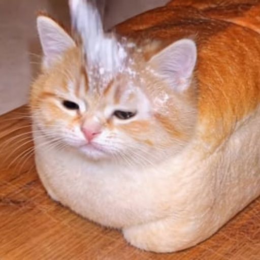 BCAT