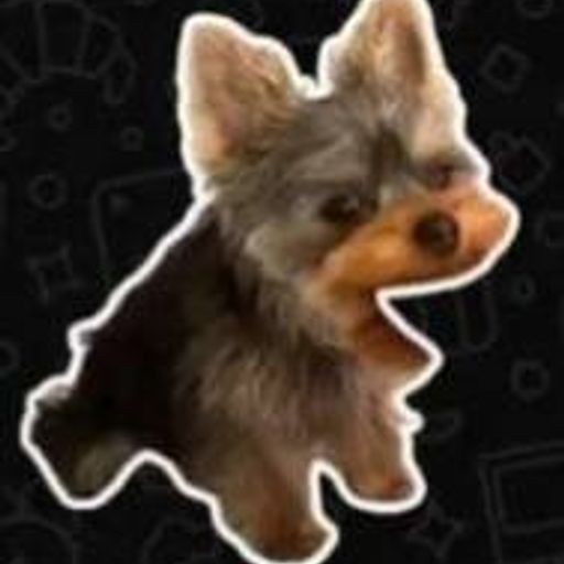 :v