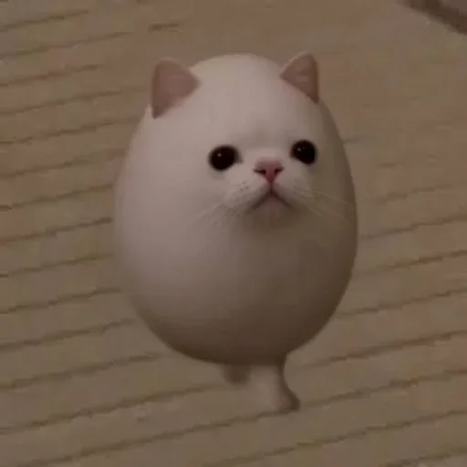 EGGCAT