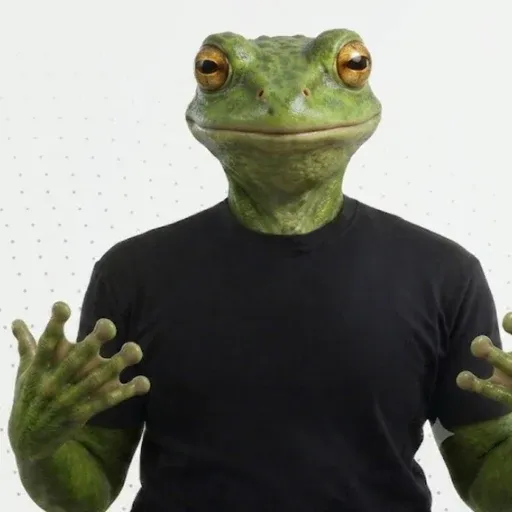 Sanji