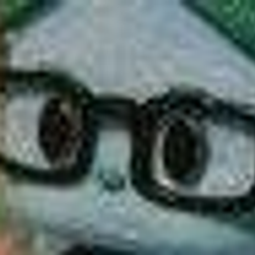 GLASSES