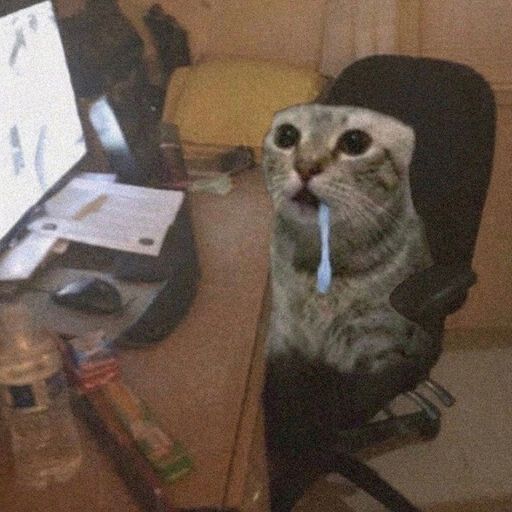 RECAT