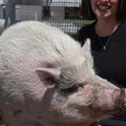 Waddles