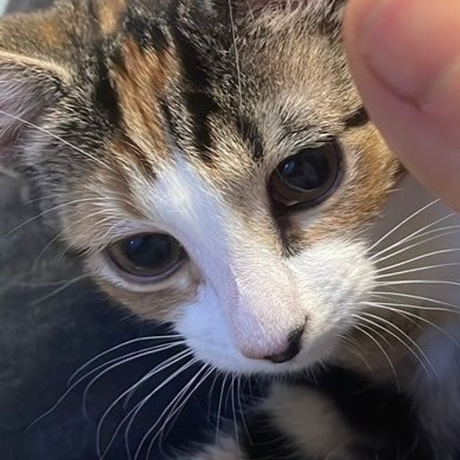 LUNA