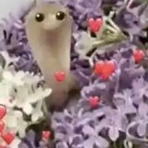 SNEK
