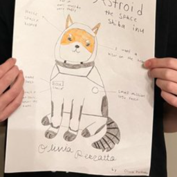 ASTROID
