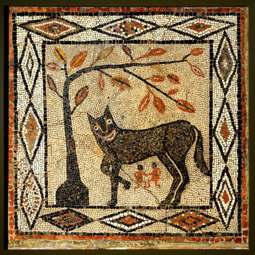 Dogenarii