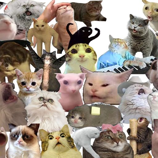 CATM