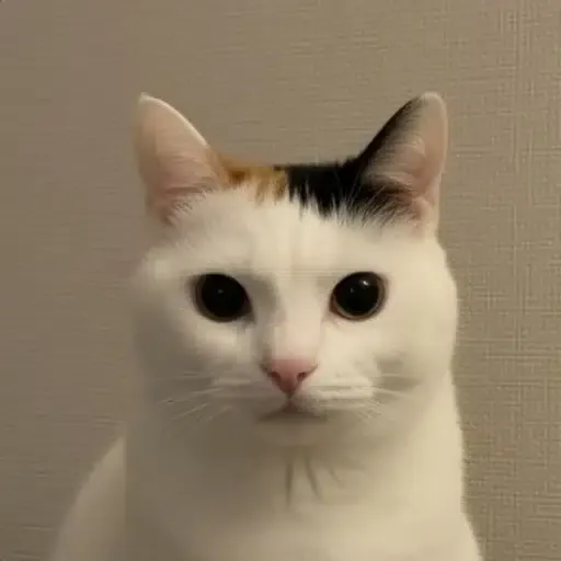 Bean