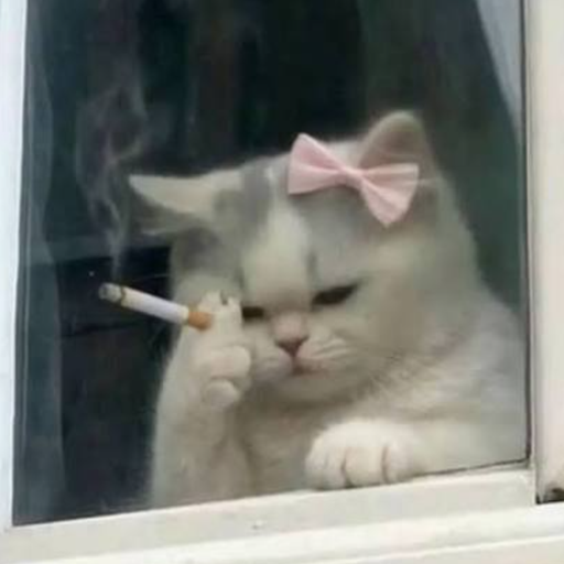 CIGCAT