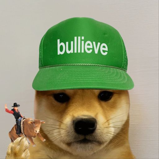 Bullieve 