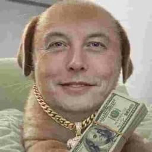 DOGEELON-rich