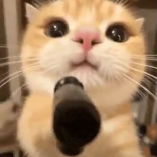 GLOCKCAT