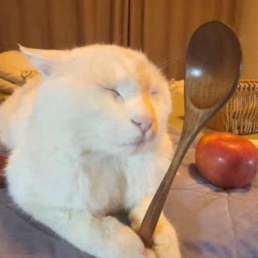 spoon