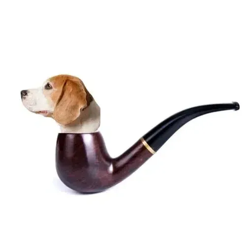 pipe