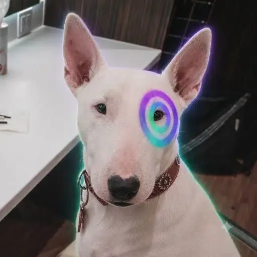 Bullseye