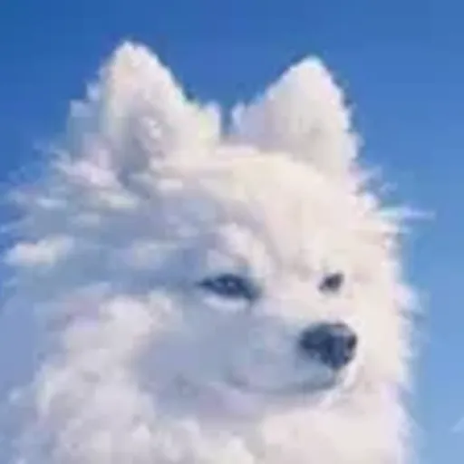 CloudDog