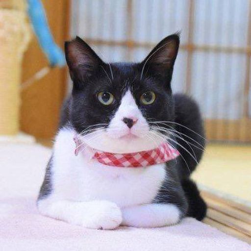ONIGIRI
