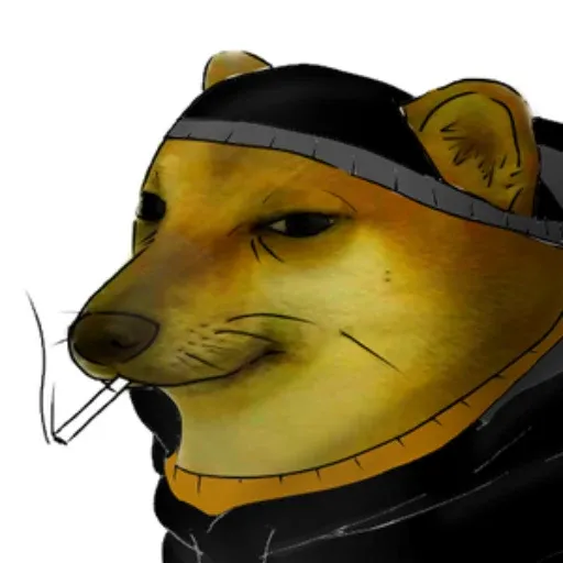 cigdog