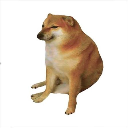 CHEEMS