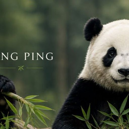 PANDA