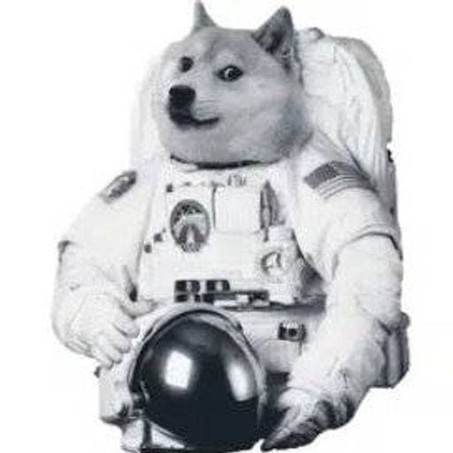 MOONDOGE