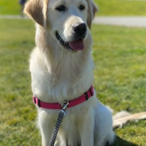 SOPHIE