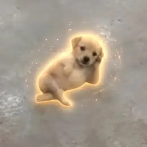 CHILLDOG