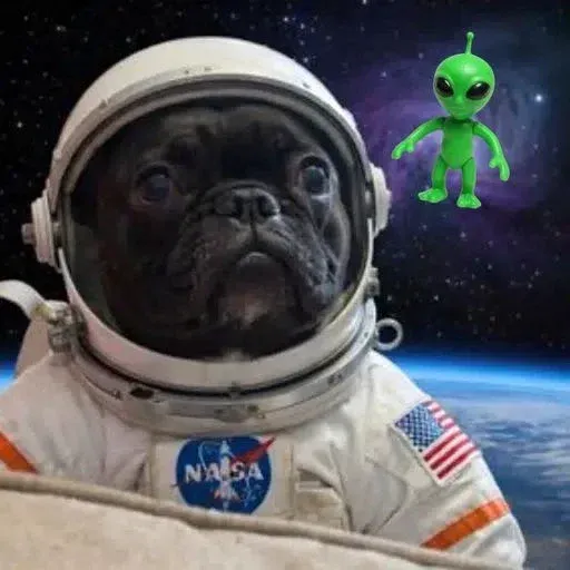 OSCAR