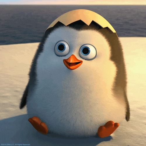 PENGAI