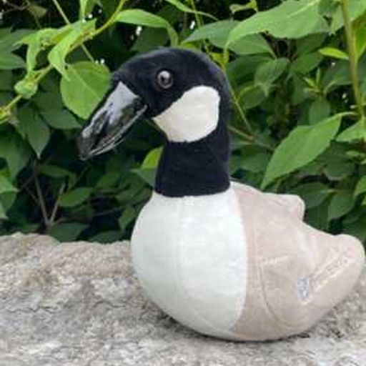Mr.Goose
