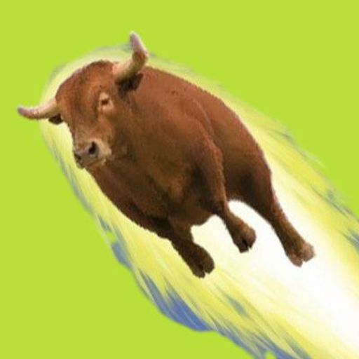 TURBOBULL