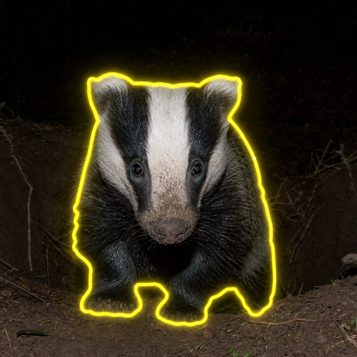 SETT