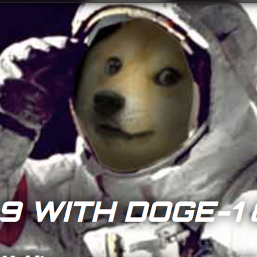 DOGE-1
