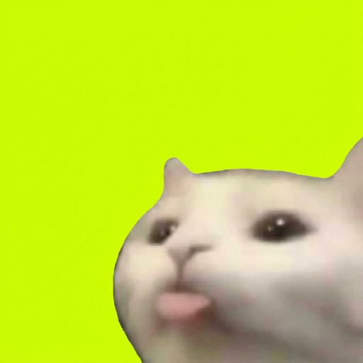 :p