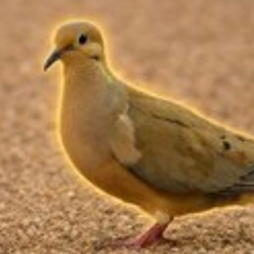 BDOVE