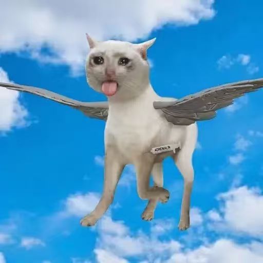 dealercat