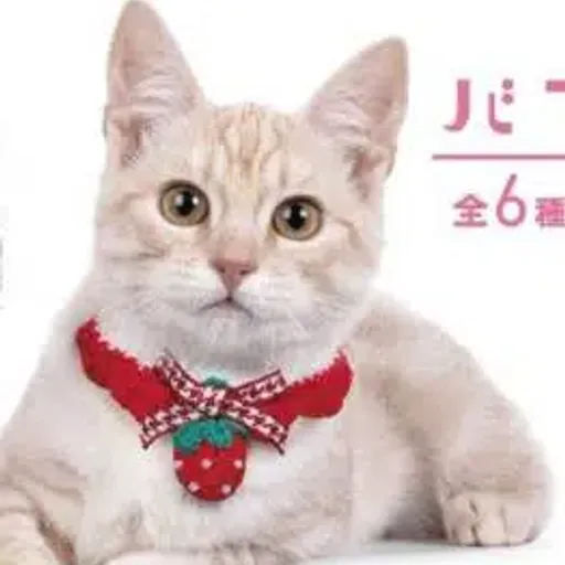 スタイ